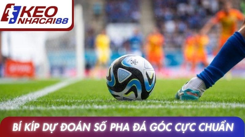 Bí kíp dự đoán số pha đá góc cực chuẩn